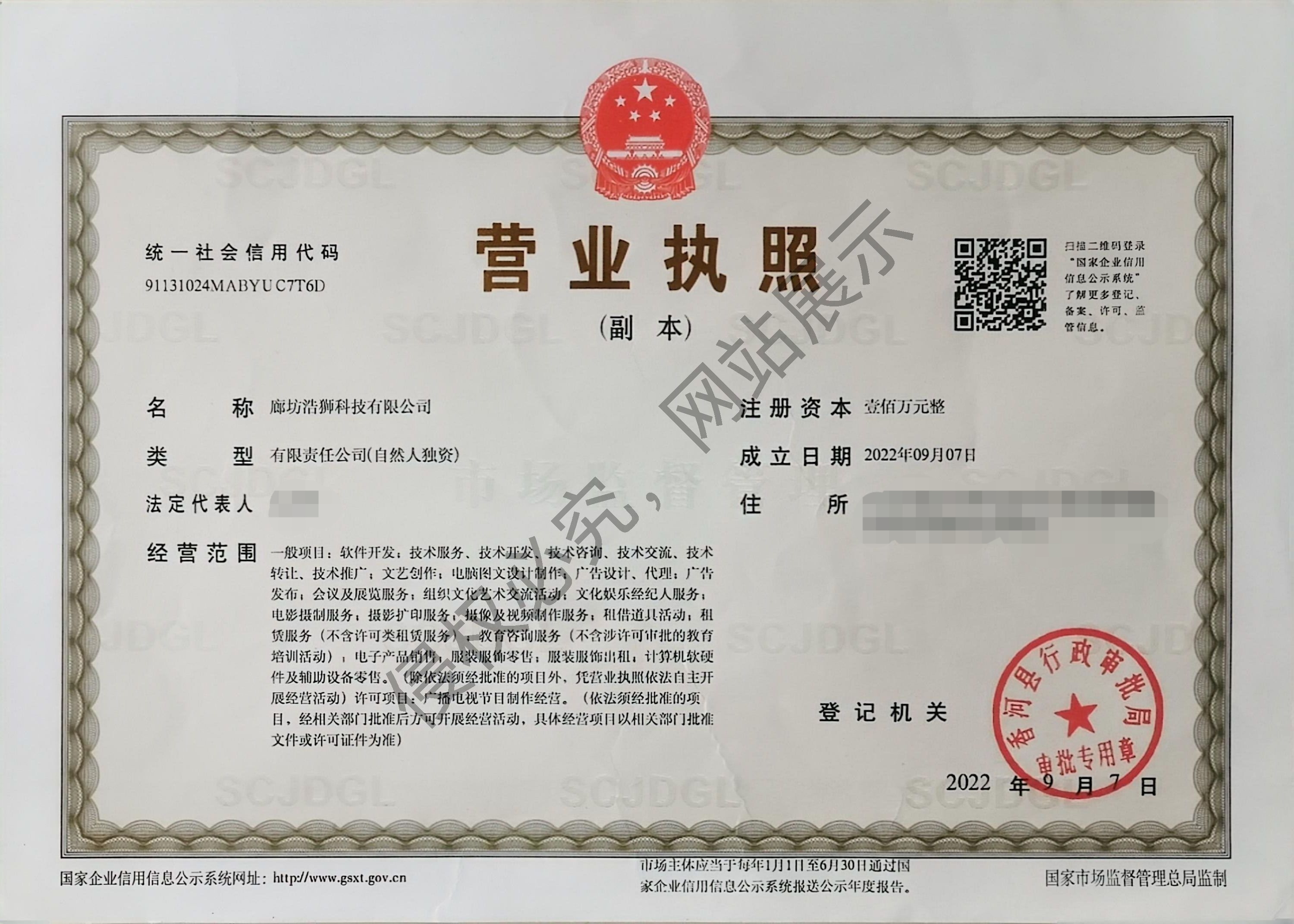 公司营业执照011